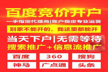SEM托管优化案例深度解析